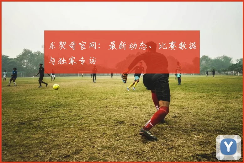 东契奇官网：最新动态、比赛数据与独家专访