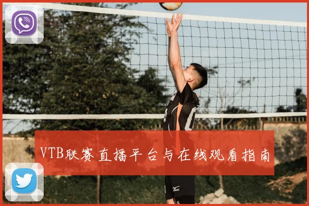 VTB联赛直播平台与在线观看指南